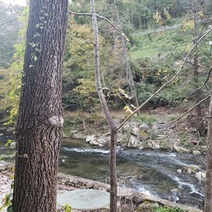 Meet your Posher, Teresa